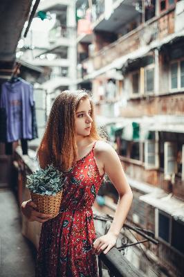 人狗大战2高清正版免费